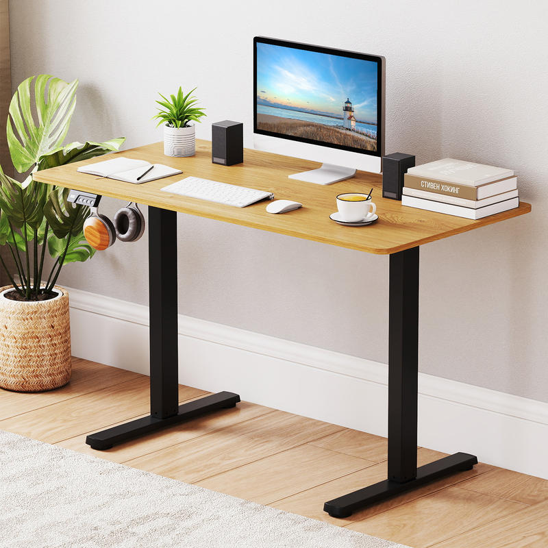 Electric Standing Desk Frame,  - đánh giá và giá Desk Setup Height