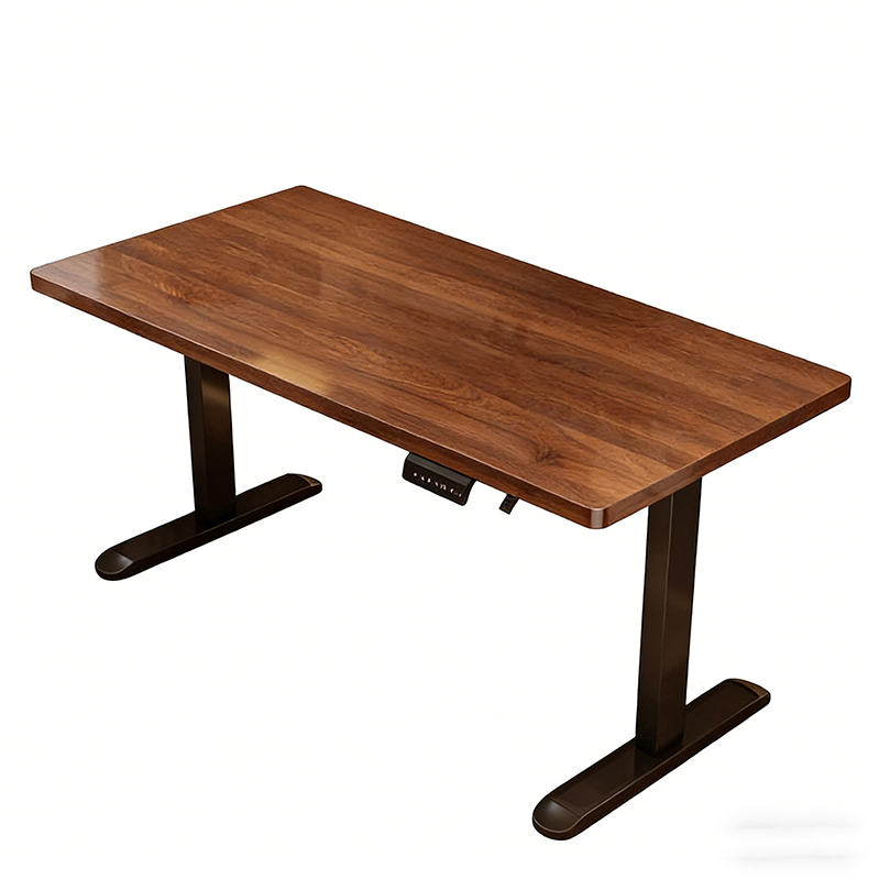 Modern Iron Dual Motor Electri - đánh giá và giá Desk Setup Height